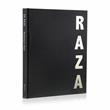 S H Raza - Raza: The Bindu and Beyond