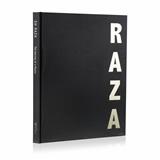 The Journey of a Master - S H Raza - Raza: The Bindu and Beyond