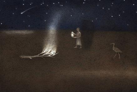 Untitled- 24, Night Forest Series