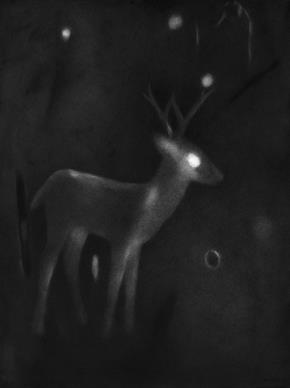 Untitled- 6, Night Forest Series