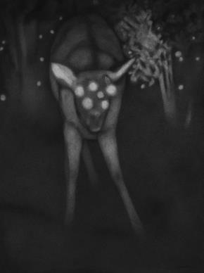 Untitled- 4, Night Forest Series