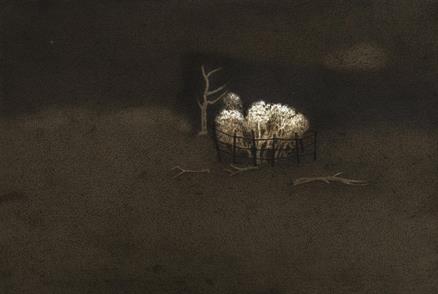 Untitled- 22, Night Forest Series