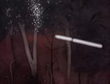 Chandra  Bhattacharjee-Untitled- 3, Night Forest Series