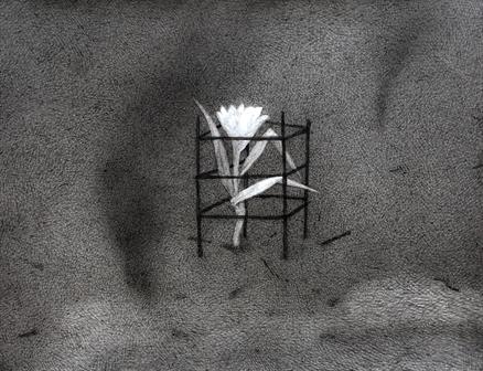 Untitled- 15, Night Forest Series