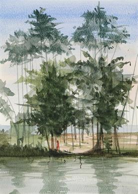 Lover‘s Corner, Kappil Lake, Kerala