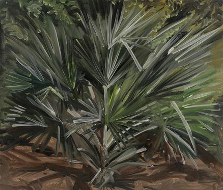 From Painter‘s Garden