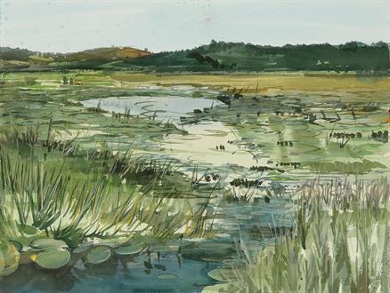 Punchakkari, Thiruvananthapuram District