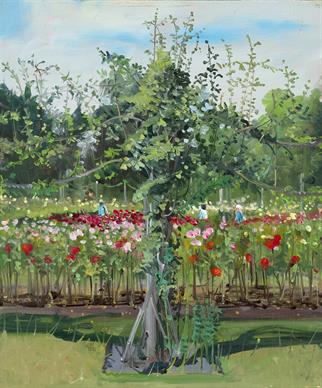 Rose Garden, Regent‘s Park, London