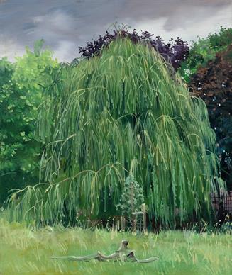 Weeping Willow Clissold Park, London