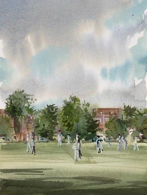 Springfield Park Cricket Match