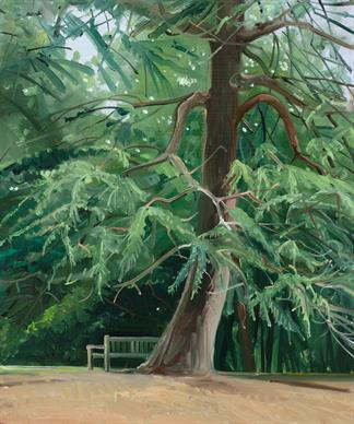 Hampstead Heath, London