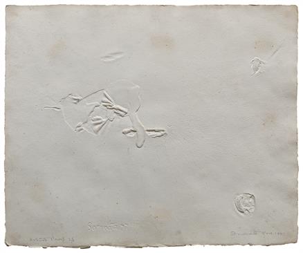  Untitled (Wound Series)