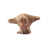 Flying Bird -   - Winter Online Auction