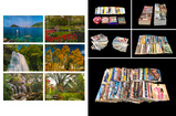 Assorted Vintage Reference Materials-F N Souza's Studio-Summer Online Auction (Jun 11-14, 2026)
