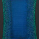 Untitled - Sohan Qadri - Autumn Auction | Live | New Delhi