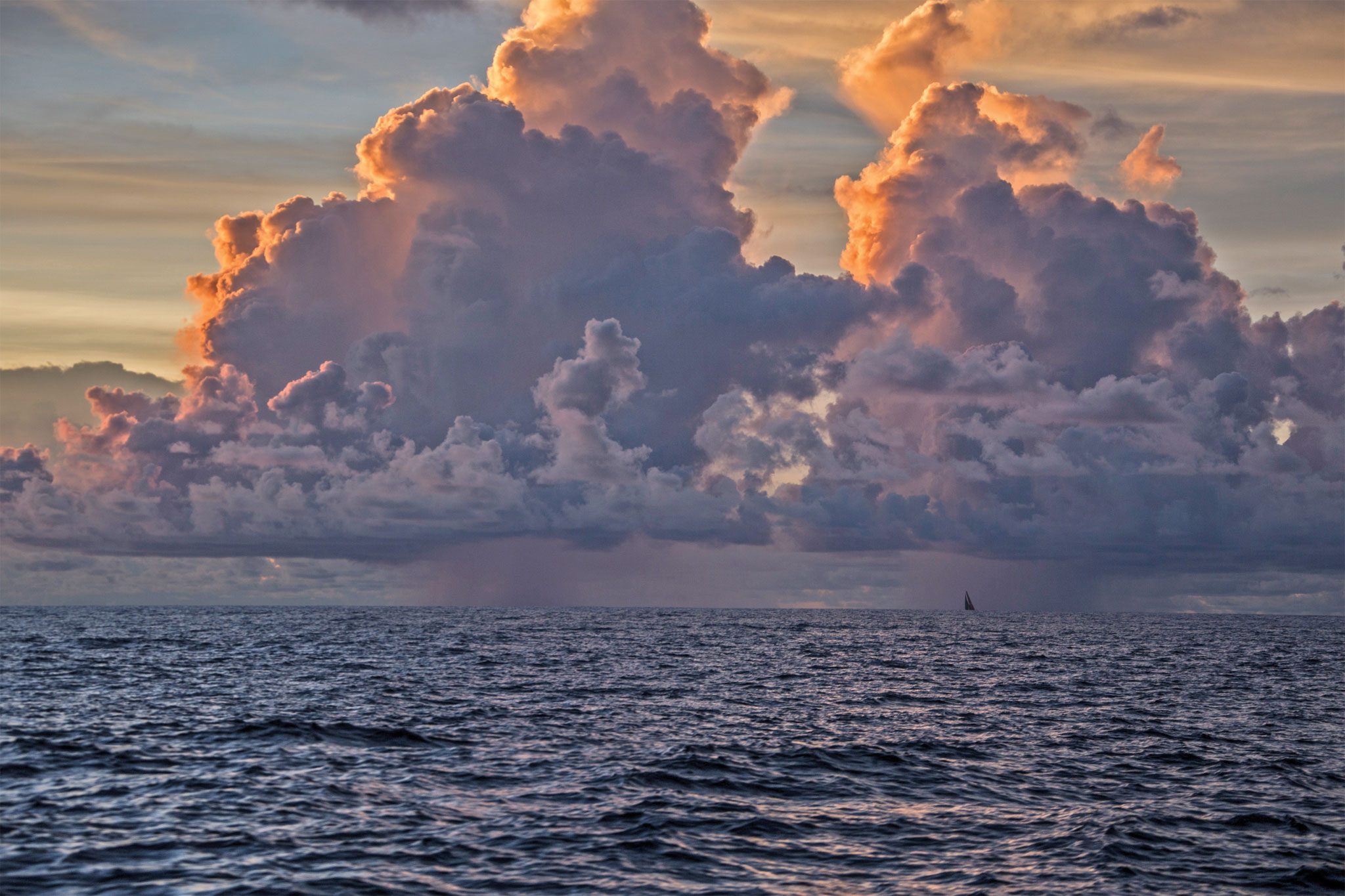 MAP_150220_vignale_6018