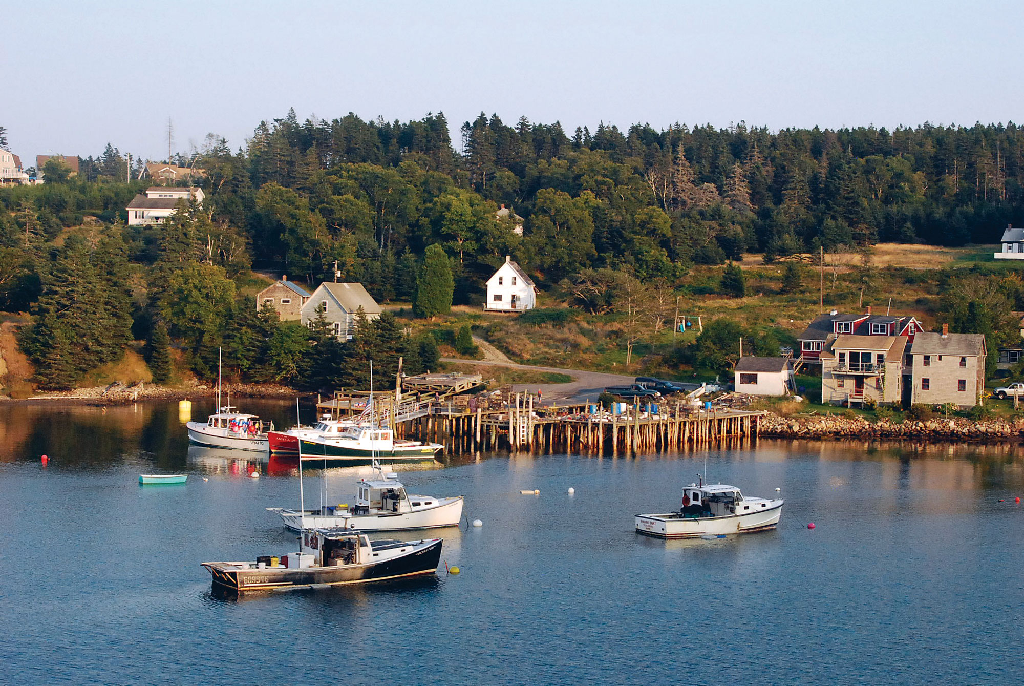 maine-3