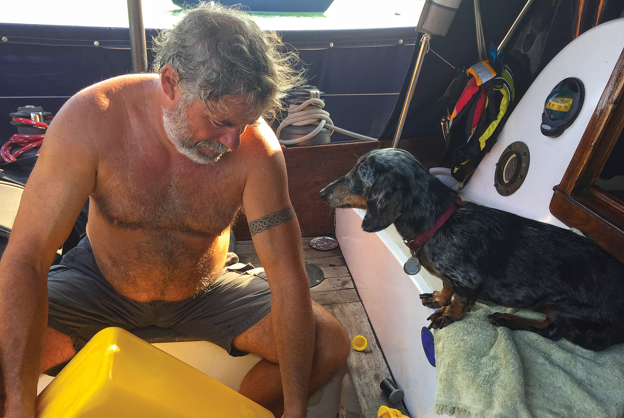dogphinneus-and-diesel dogphinneus-and-diesel