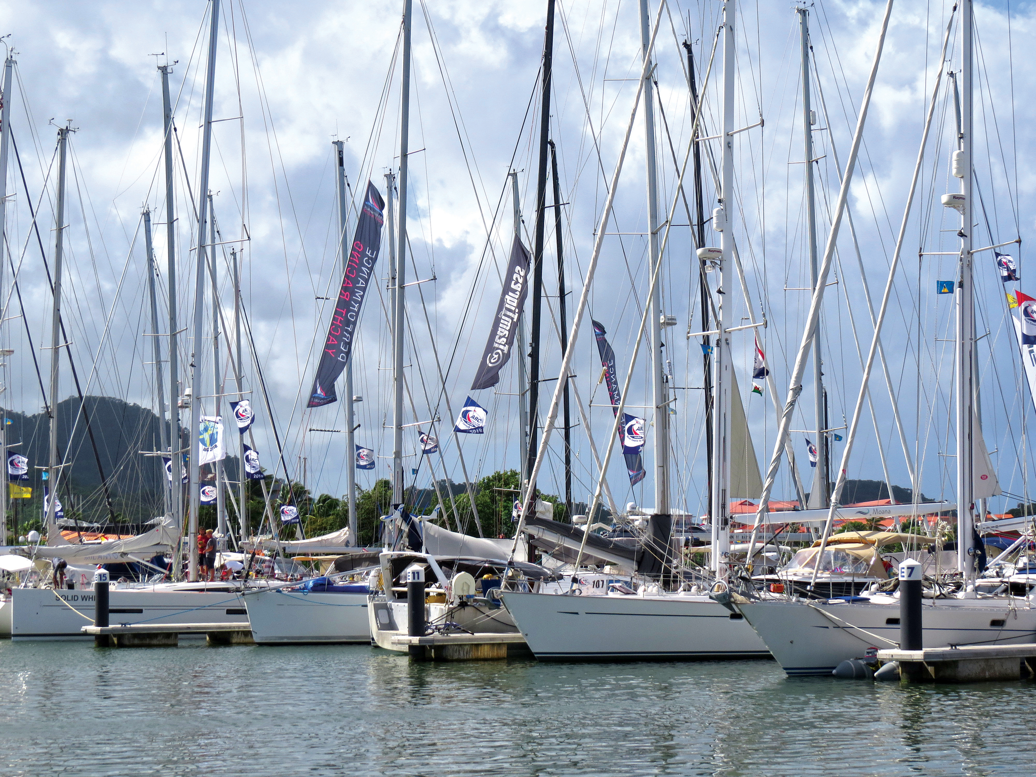 ARC2018Flags ARC2018Flags