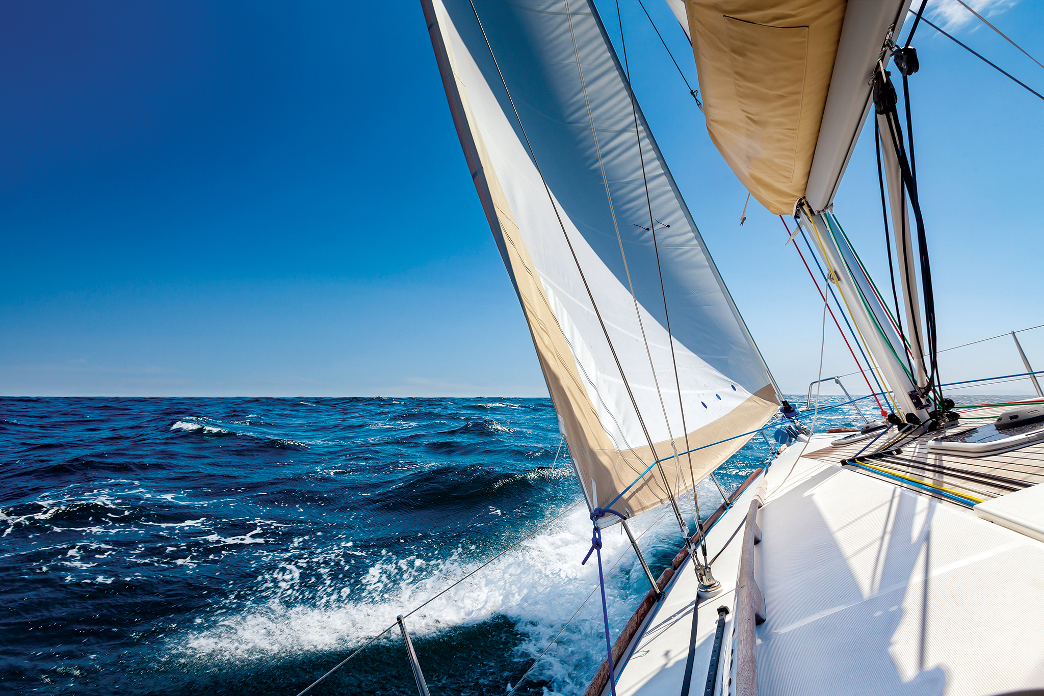 AdobeStock_229409051