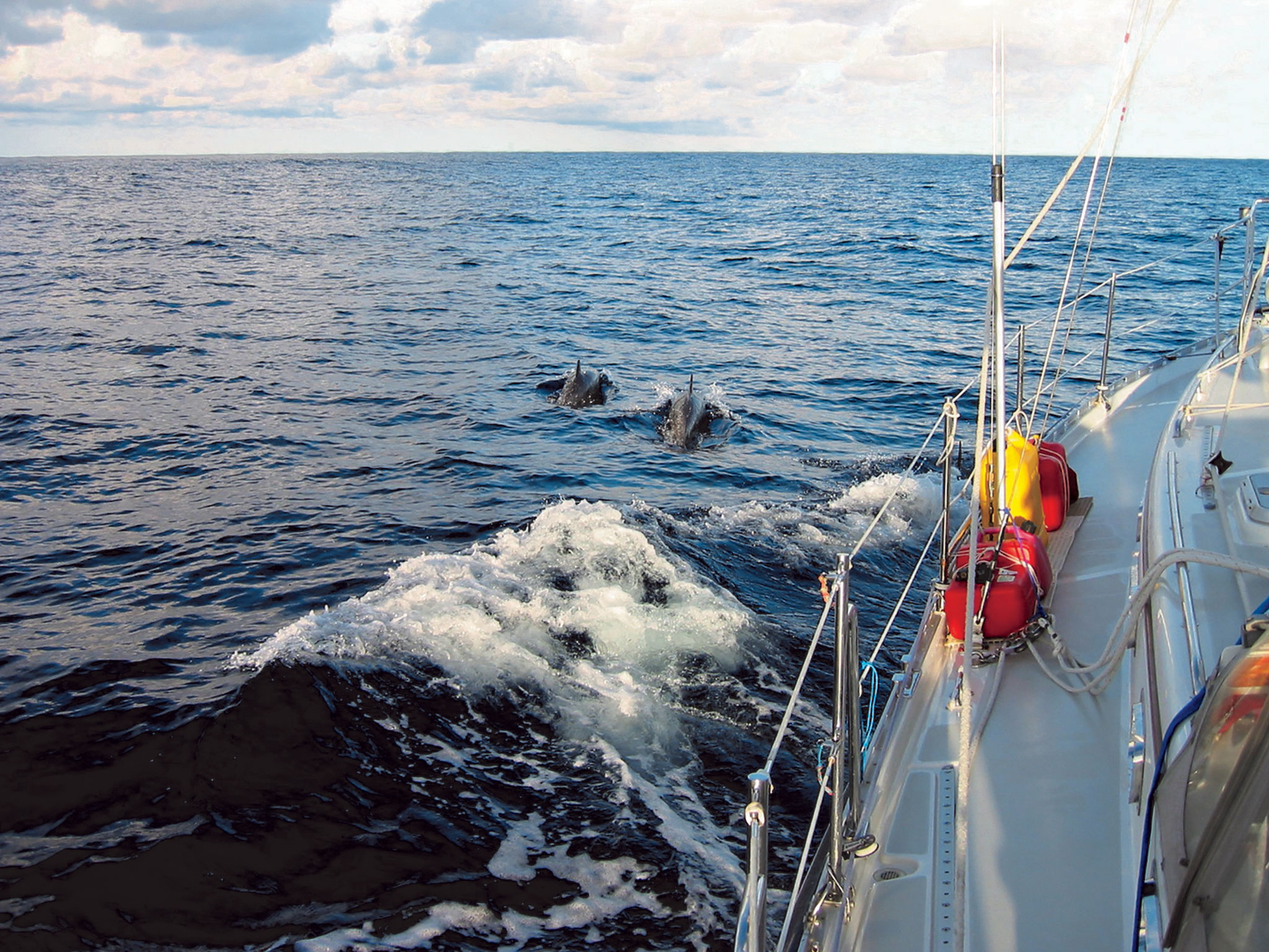 01-LEAD-Day-three---dolphins.-300-dpi