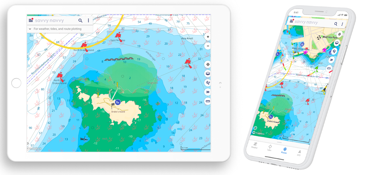 savvy-navvy-screenshot_Seagrass-Plymouth-copy