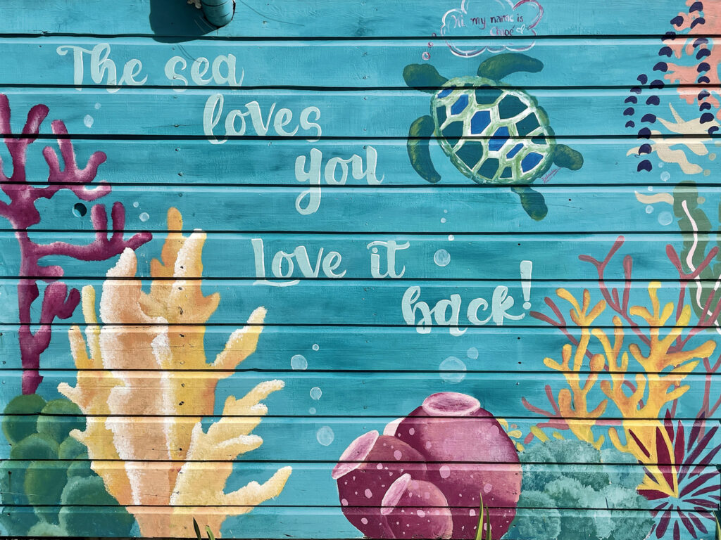 Wall art provides some more inspiration to take care of Belize’s reef and its flora and fauna.