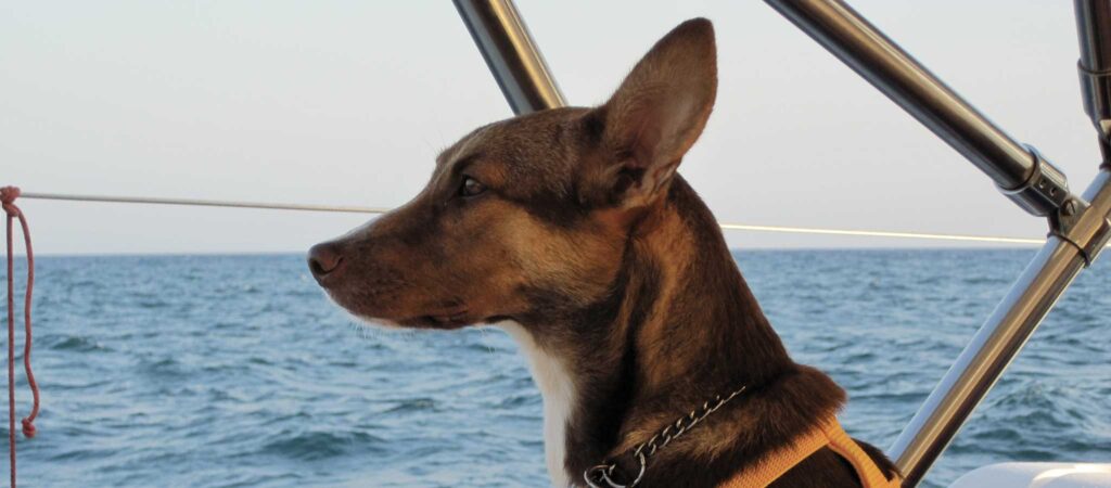 Maya stands watch on approach to Bermuda.