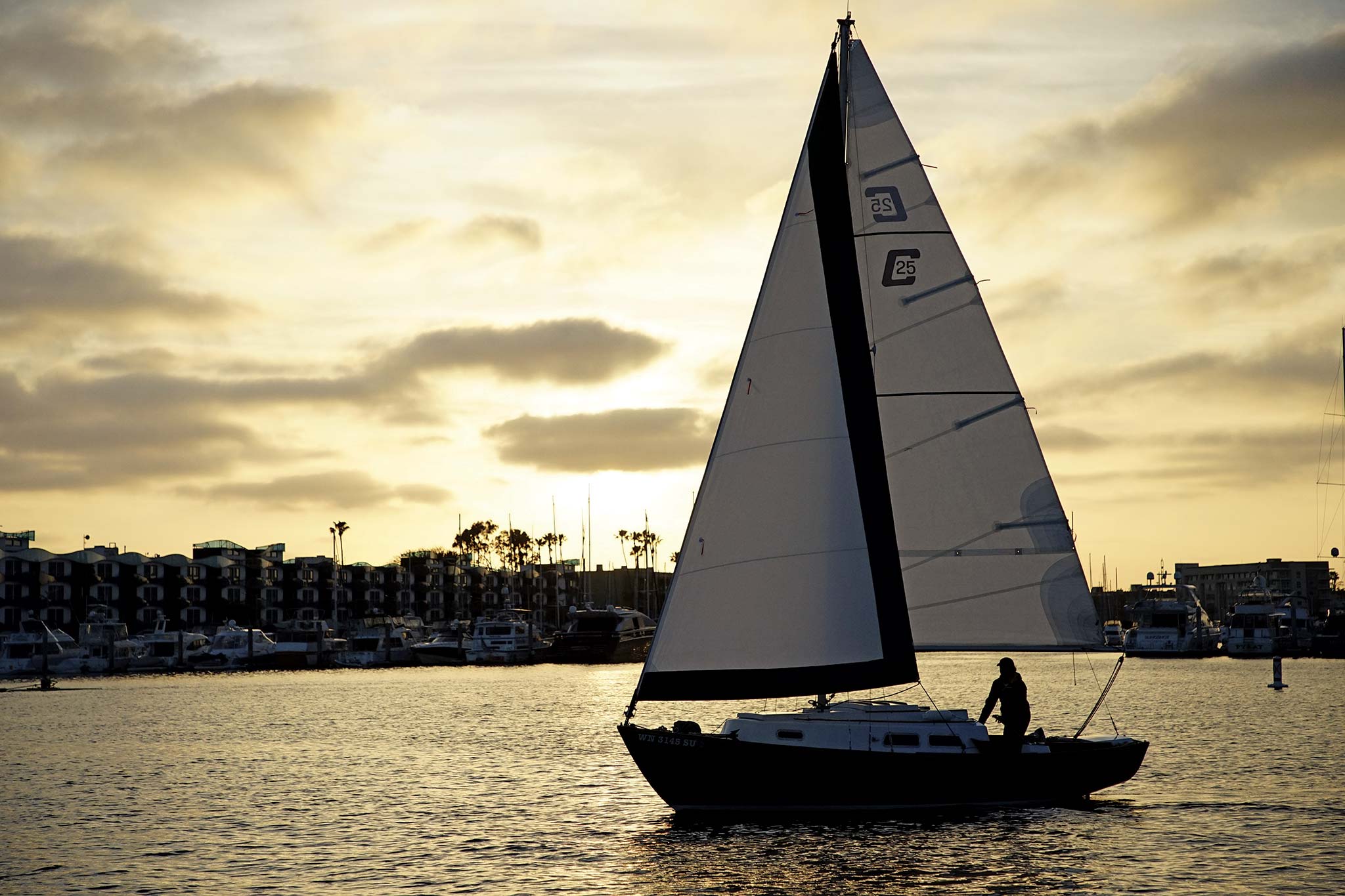 Delilah and David silhouetted in the evening sun in Marina Del Rey, California.