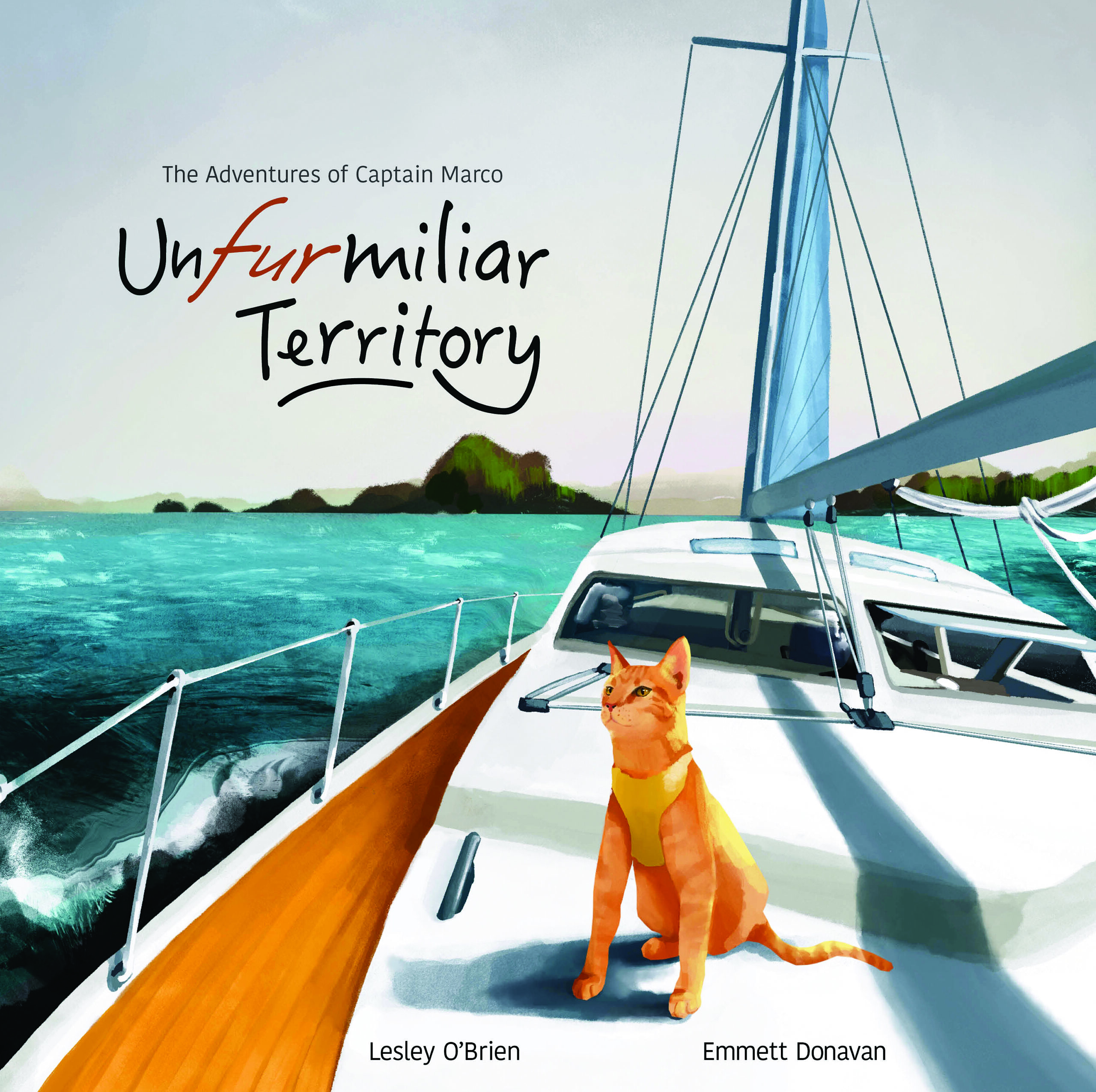 Picture of Lesley O Brien