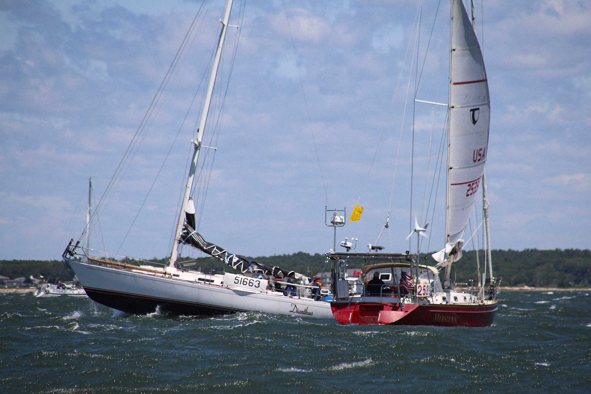 Lead-Marion-Bermuda-1st20250627_098 Lead-Marion-Bermuda-1st20250627_098