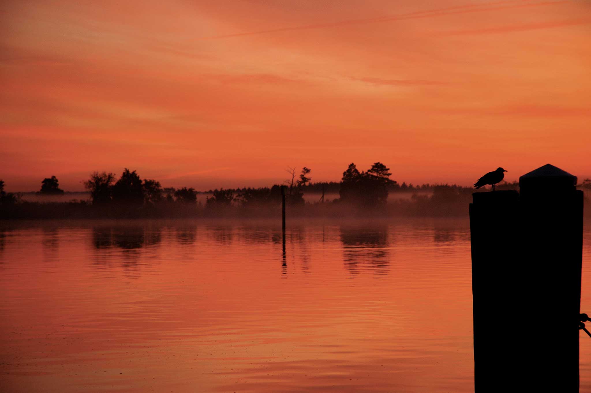 In the twilight years, how do you want to remember your life? Photo  by Zuzana Prochazka