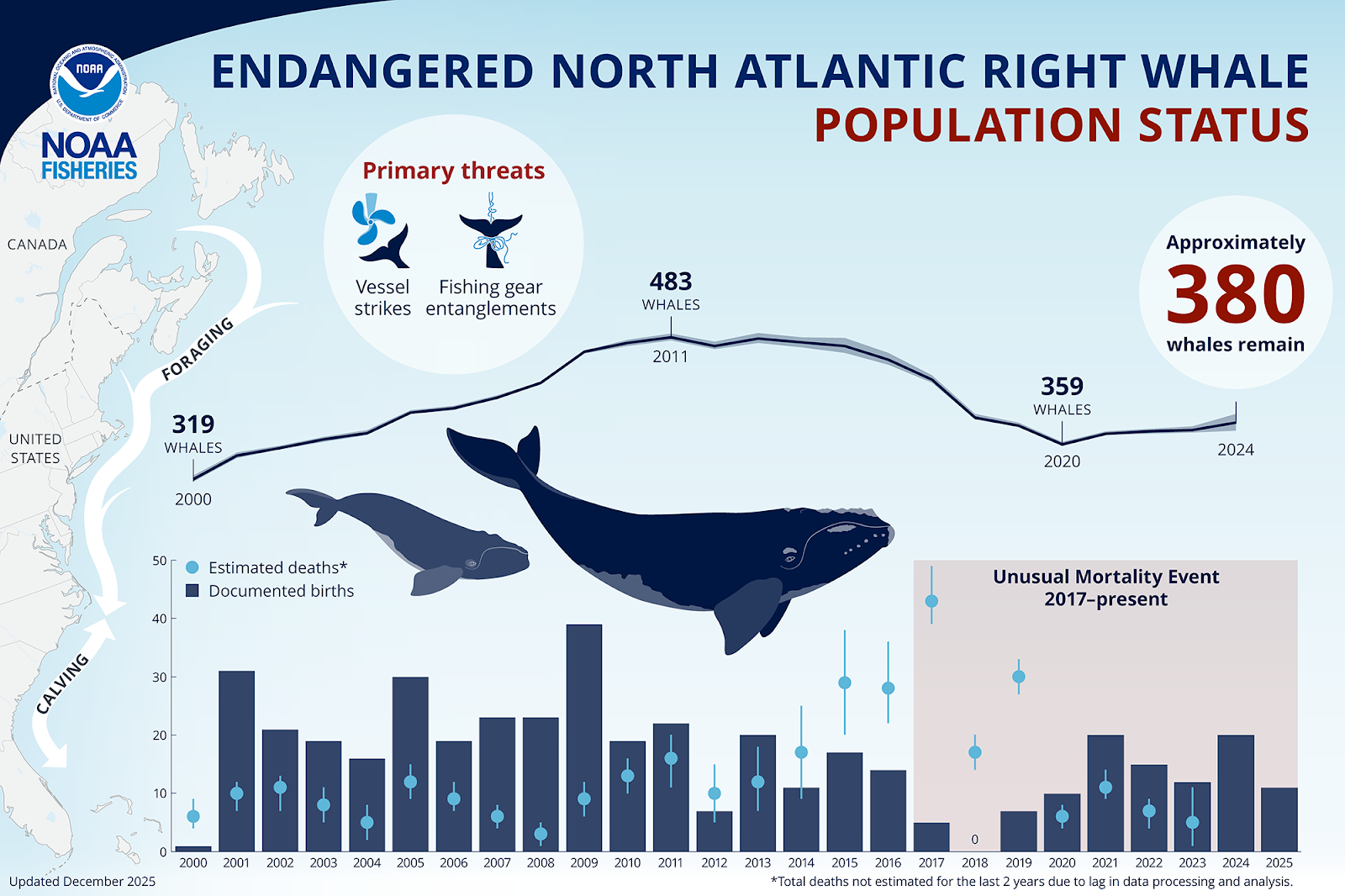 20260204-infographic-right-whales