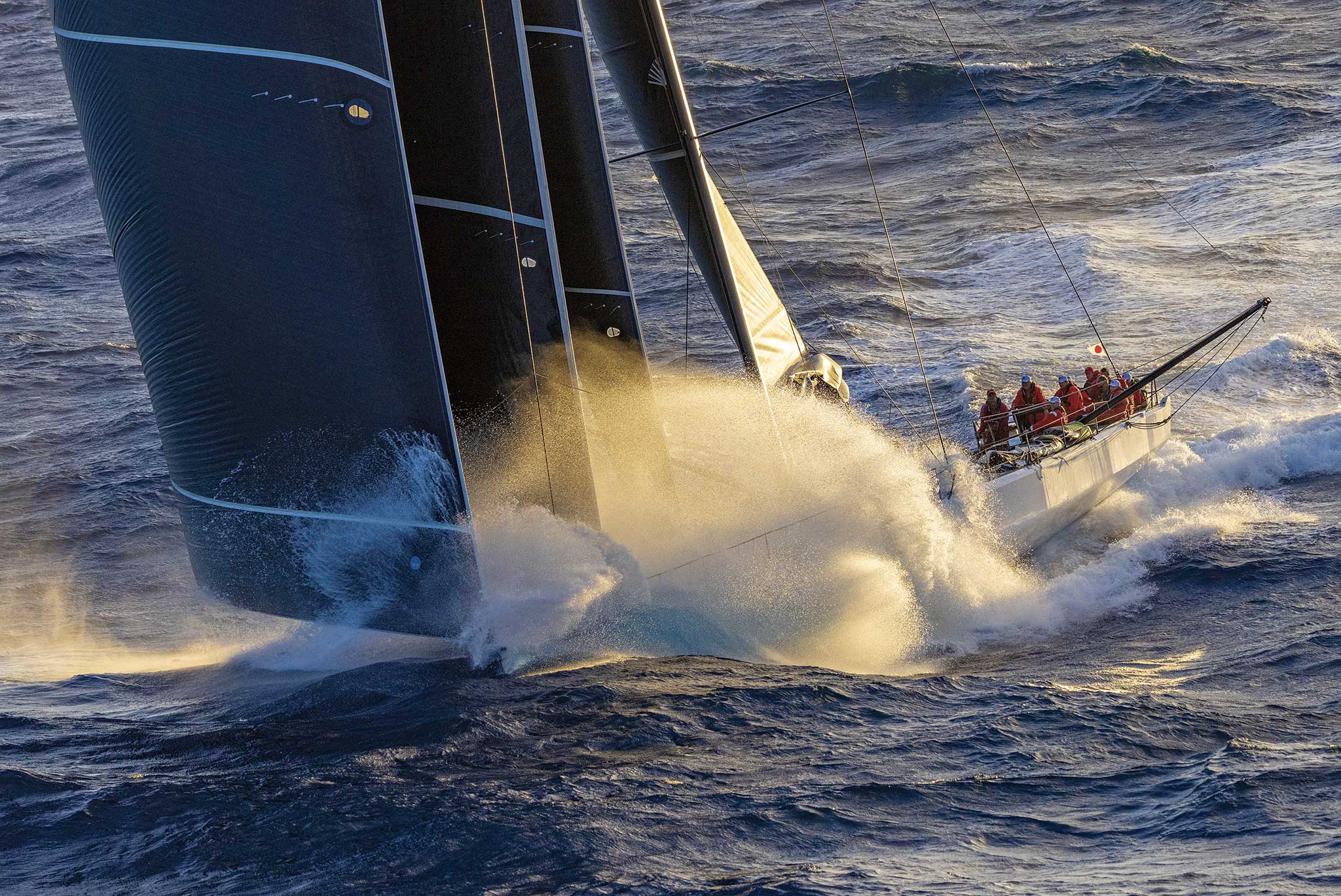 01-2025_Transpac_07.11.25_sg_016877-Sharon-Green Photo: Sharon Green