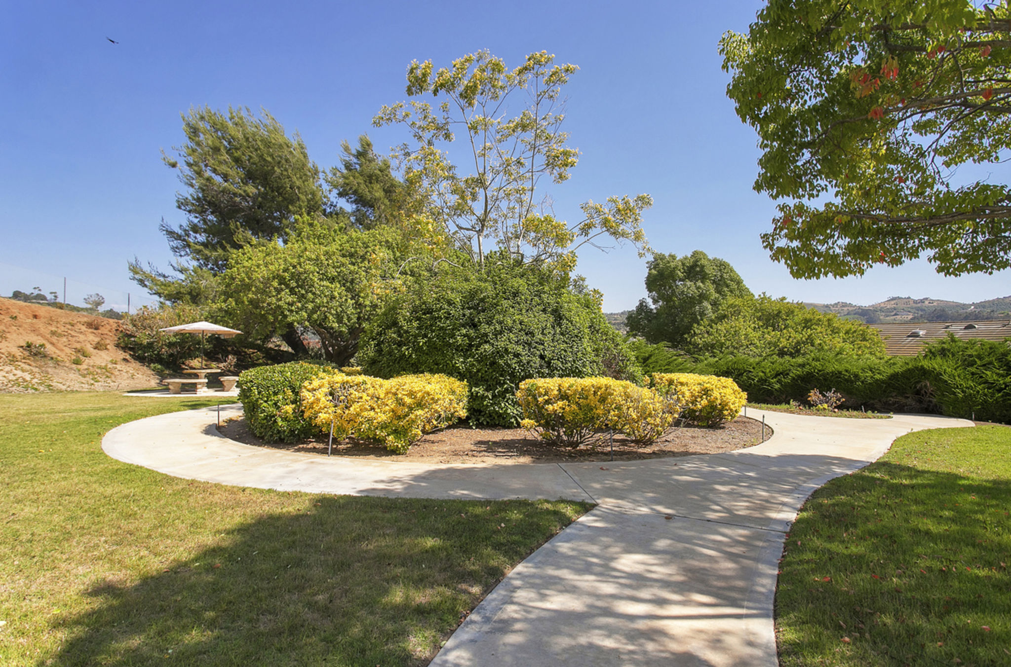 85 Via Larga Vista Bonsall, California