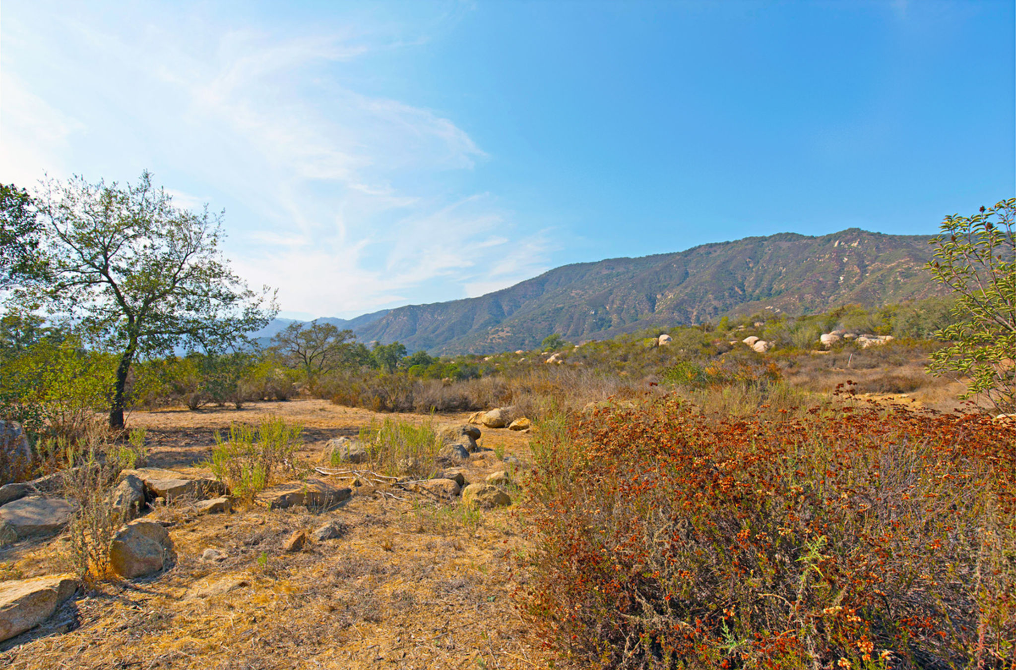 De Luz Temecula, California by Edward Beaudet
