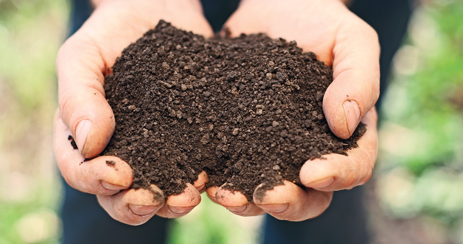 SDSoybeanSoilSampling South Dakota Soybean