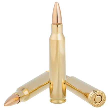 PATRIOT SPORTS 223Rem 55gr FMJ Full Brass Case 20rd/Box-img-2