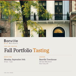 Banville linkedin panel1 1200