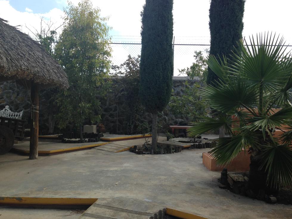 Iap0onc6tqwoq0m0eh45 img 1852