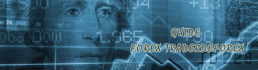 Section image traderdeforex banner 4