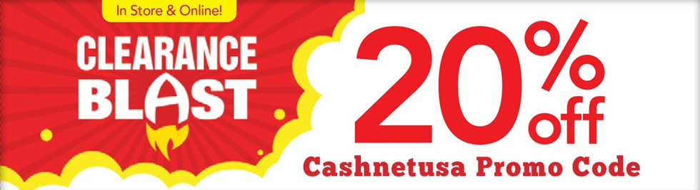 Section image cashnetusa promo code banner1