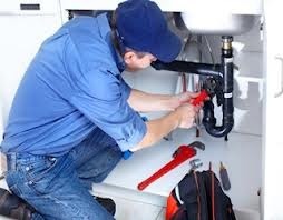 Section_image_images