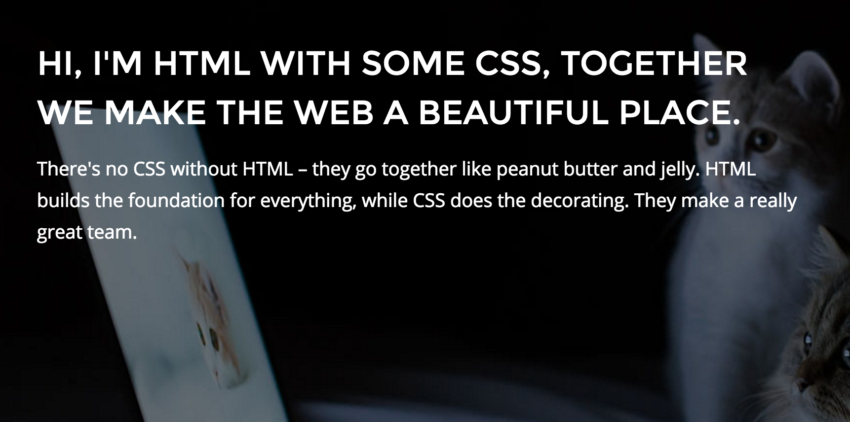 Learn to code HTML & CSS