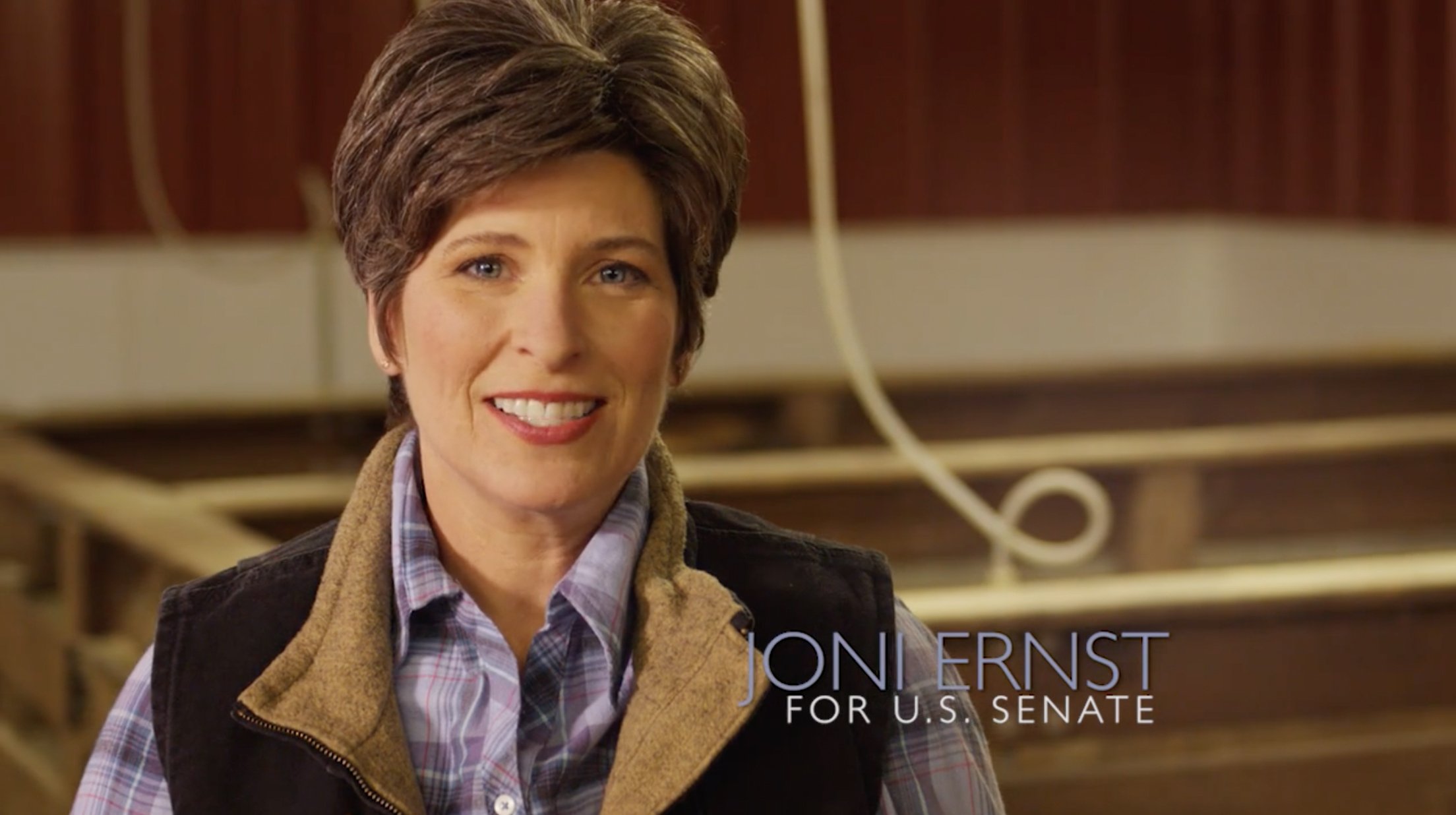 Squeal - Something Else Strategies
