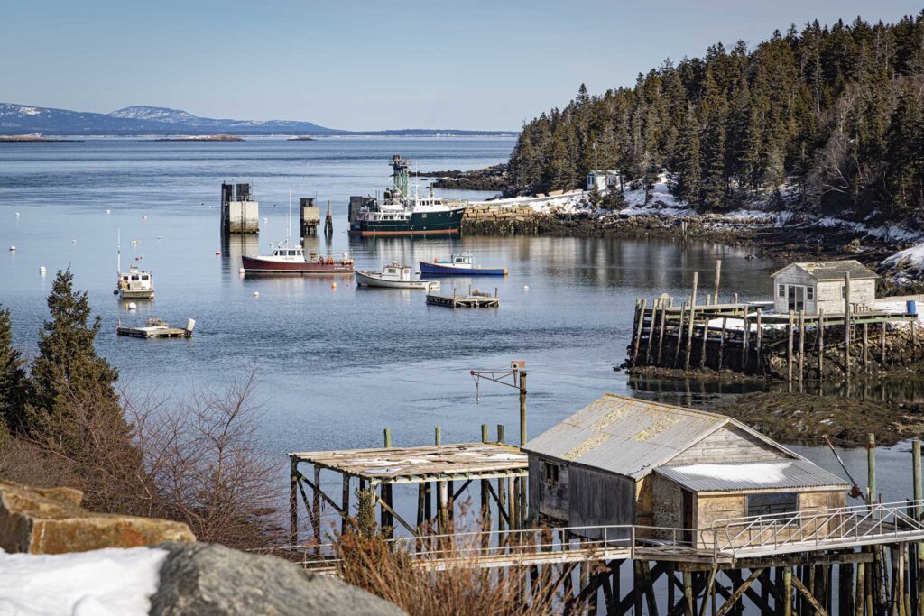 boats in a body of water with boats and a dock