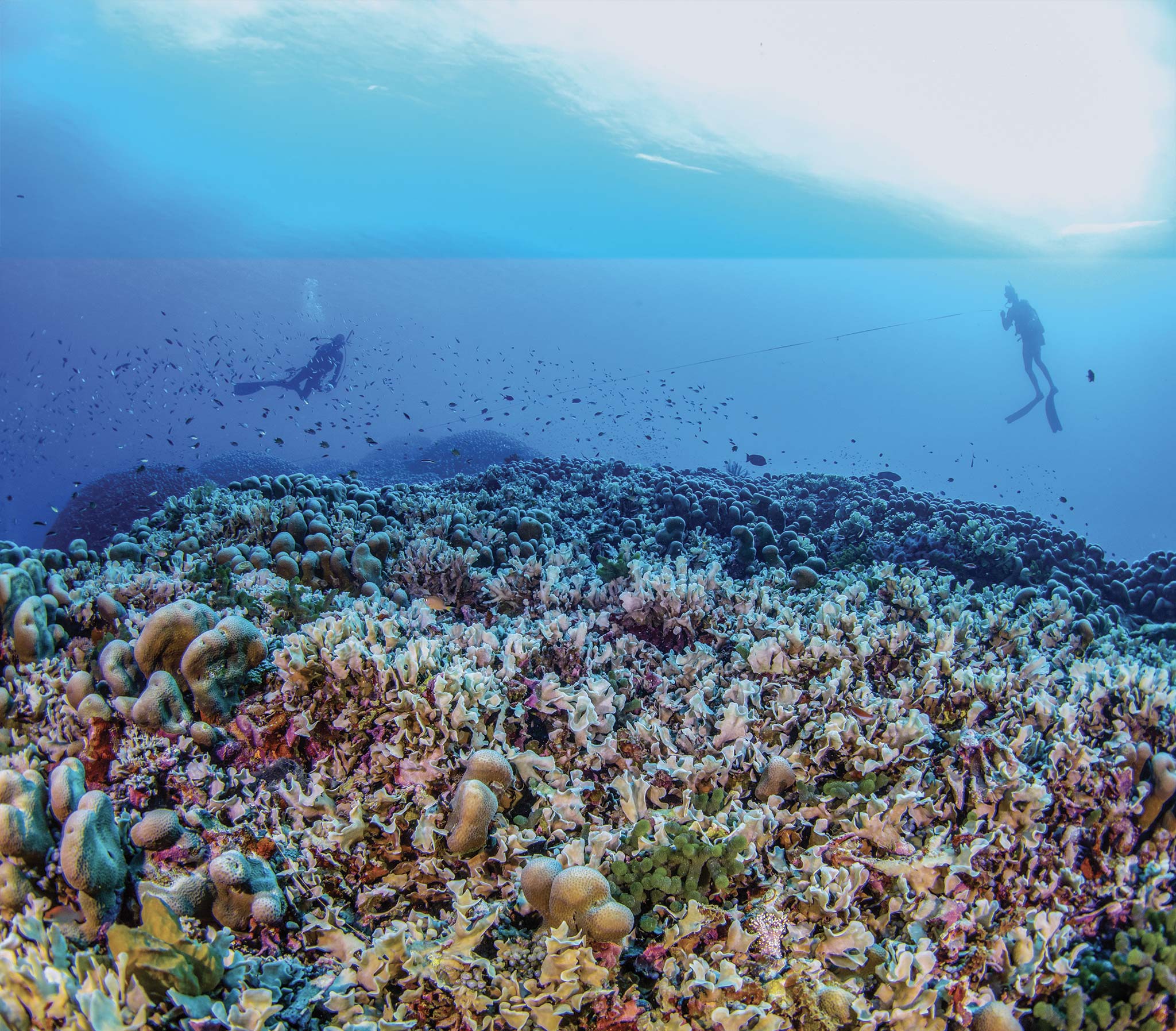 19---NGSPS2024SOL_MSF_2641Nat_Geographic