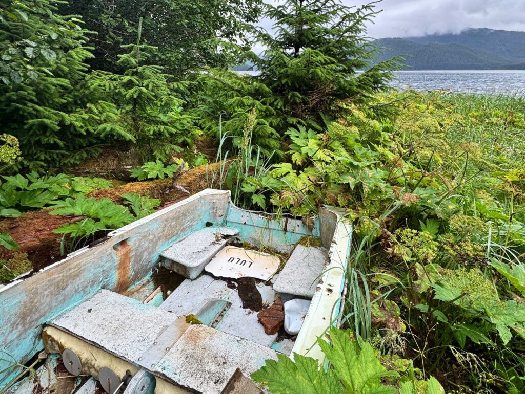 An abandoned small boat in the weeds next to the water.