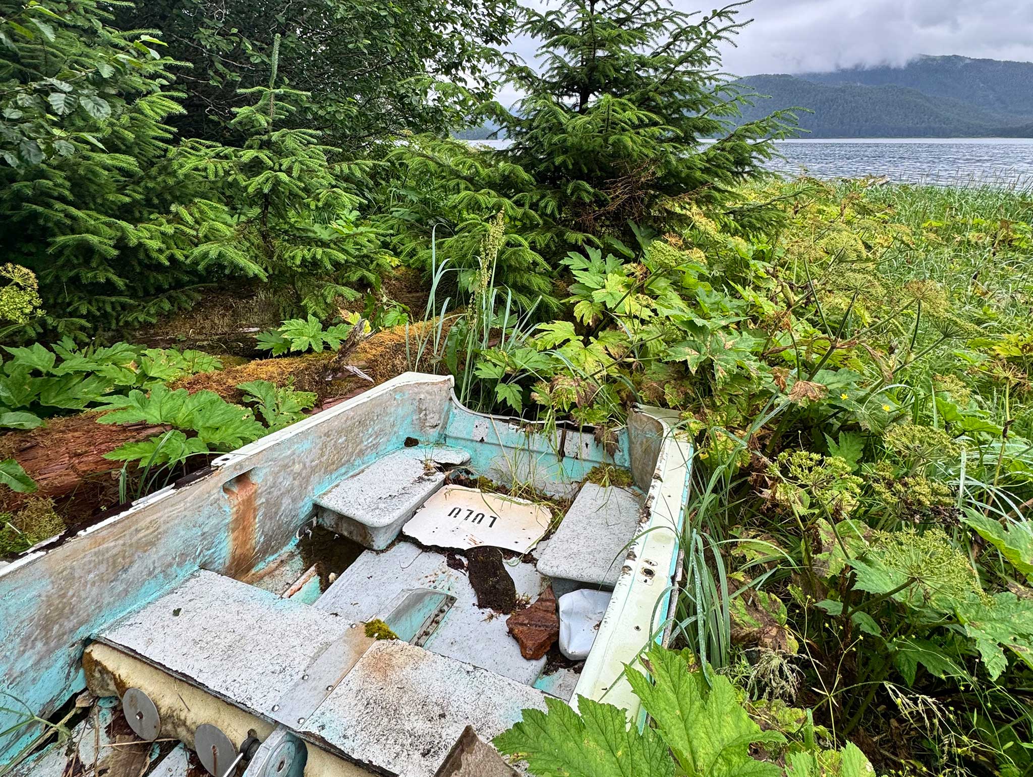 Lulu-is-one-of-the-abandoned-boats-slated-for-removal.-On-the-hard-in-Alaska,-it-is-an-environmental-hazard,-with-oils-and-metal-that-leak-into-soil.—Lulu_LisianskiInlet_LioneClare An abandoned small boat in the weeds next to the water.