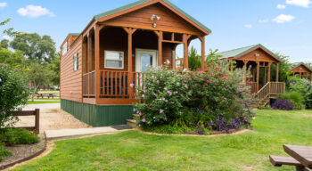 A small wooden cabin with a porch is surrounded by greenery, including bushes and flowering plants, under a clear blue sky.